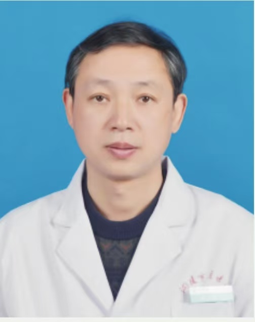 胡入虎